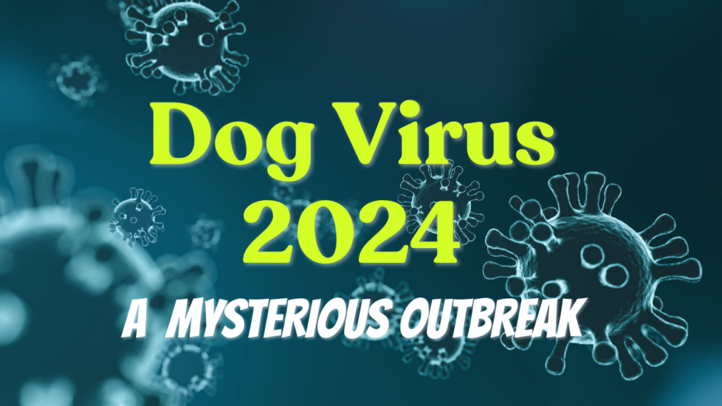 Dog Virus 2024: Guide on Atypical Canine Infectious Respiratory Disease