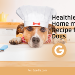 Healthiest Home made Recipe for Dogs