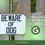 23 Most Dangerous Dog Breeds- Banned in India