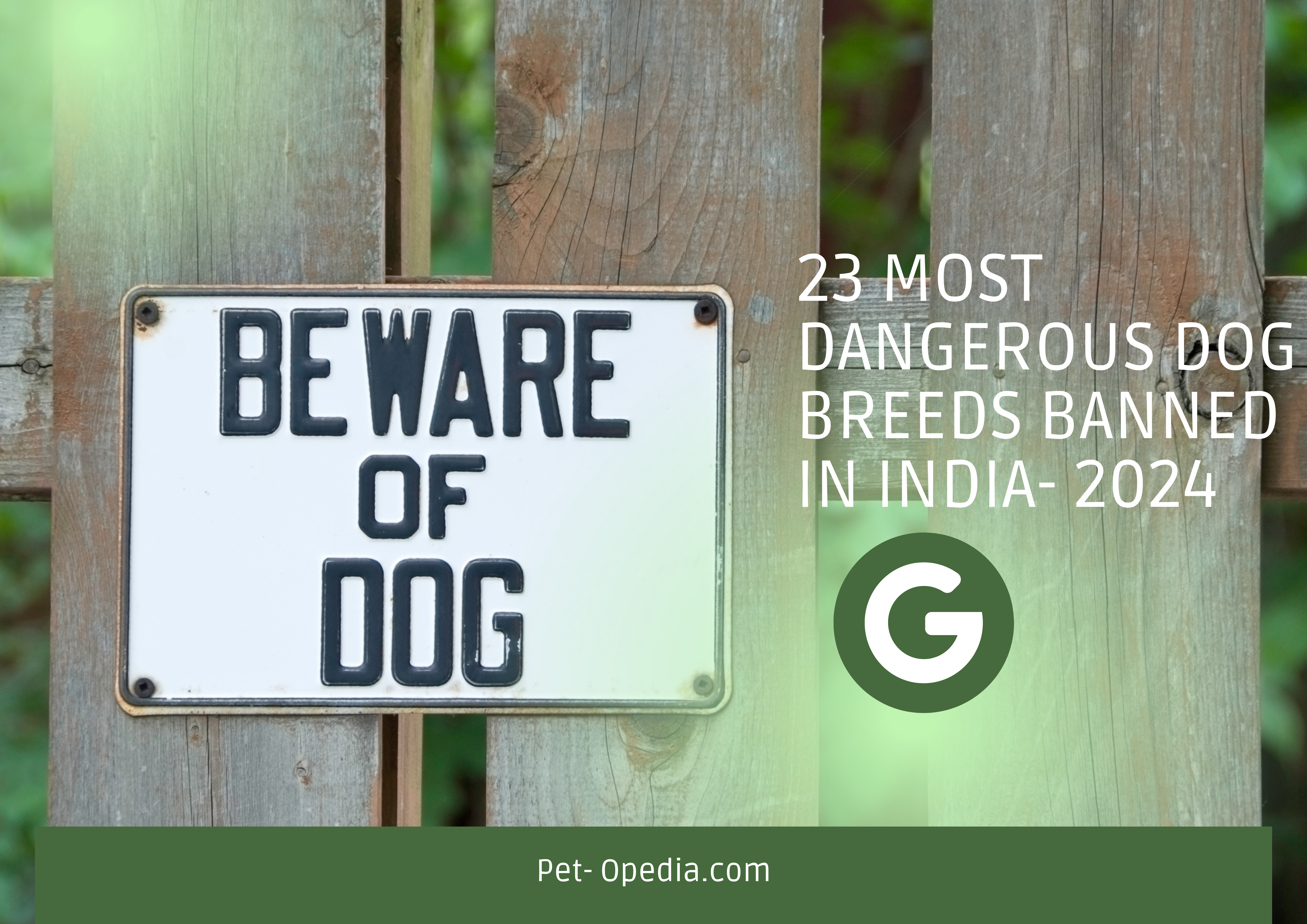 23 Most Dangerous Dog Breeds- Banned in India