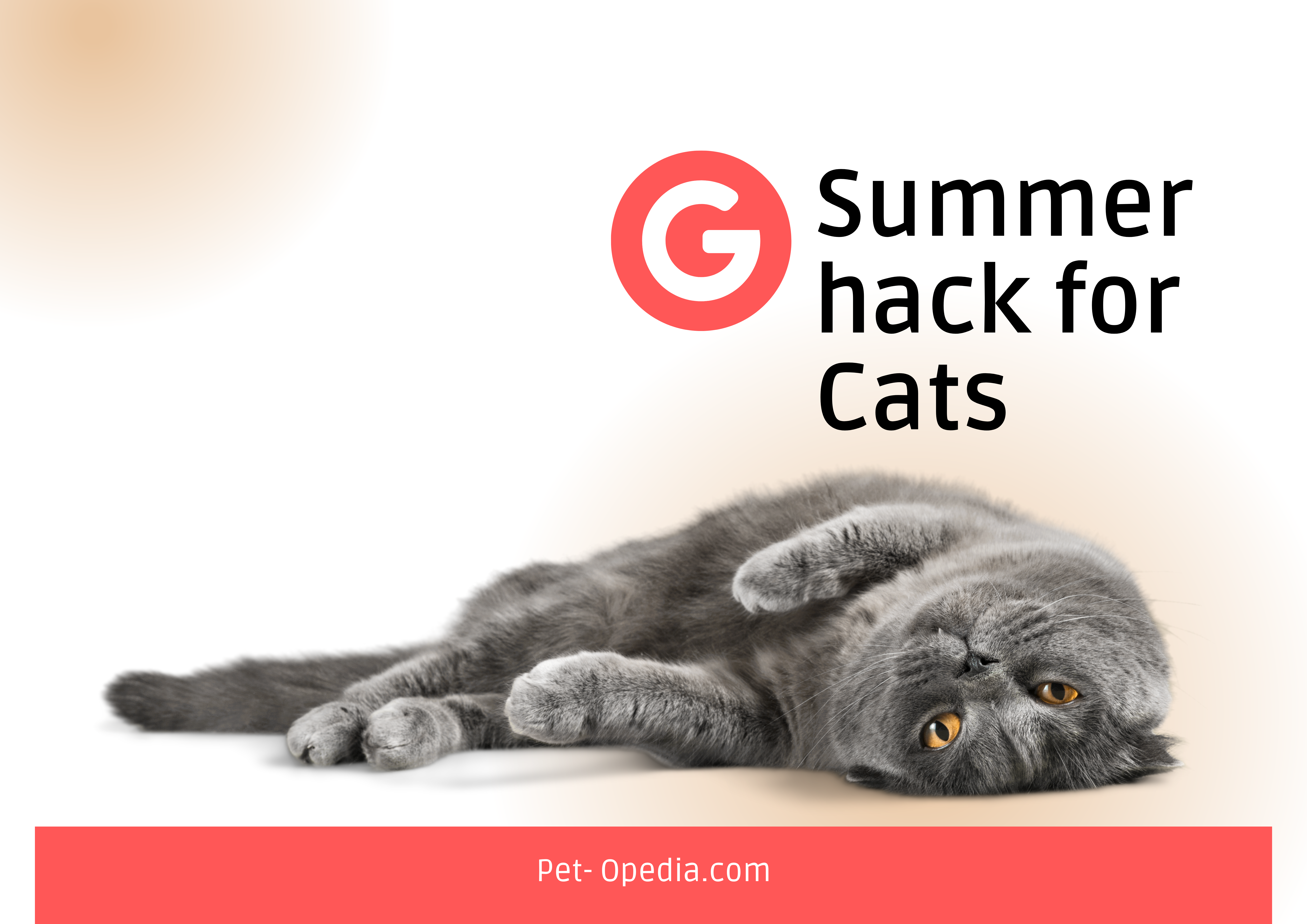 Summer hack for cats