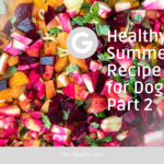 Healthy Summer Recipe for Dogs- Part 2