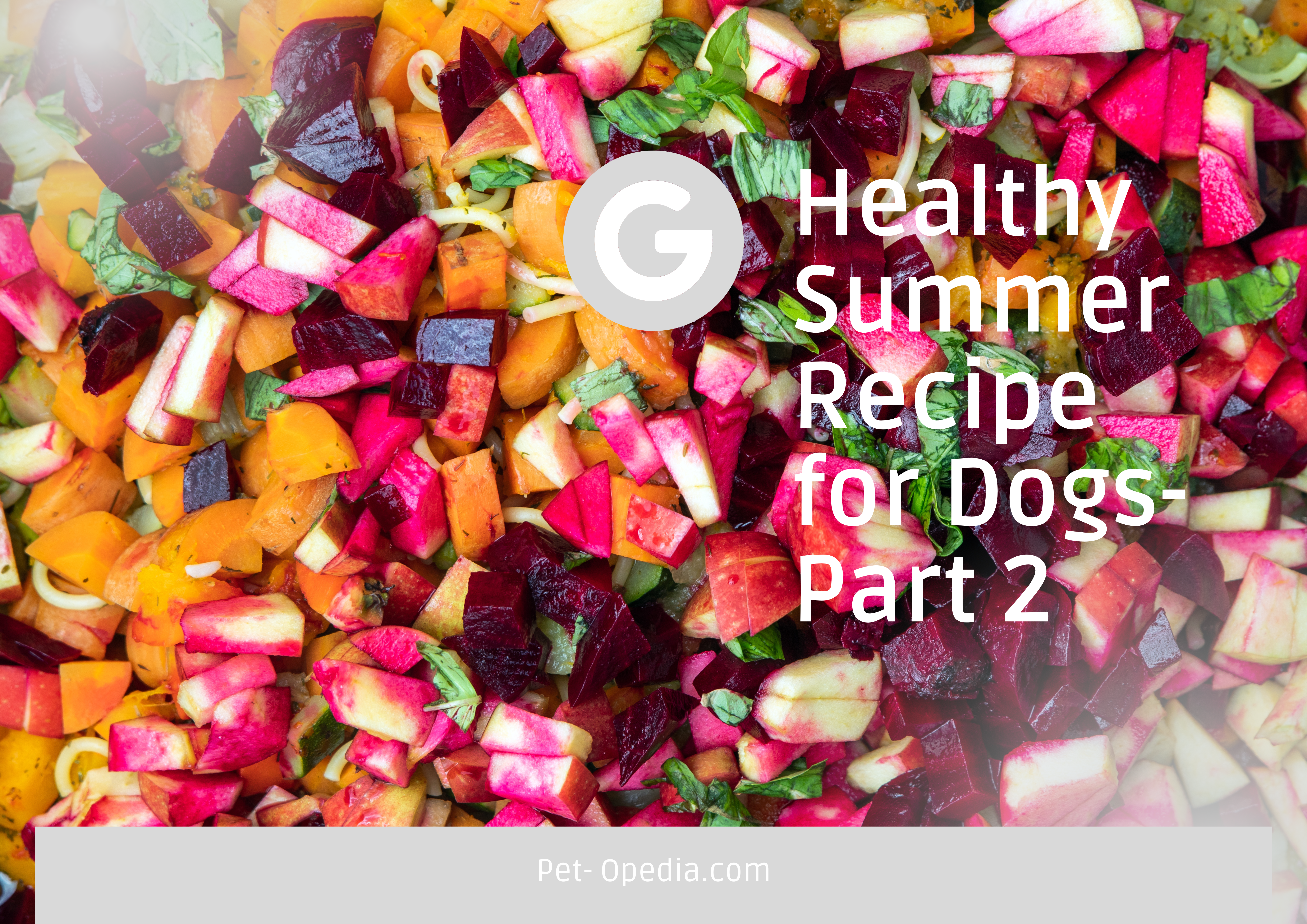 Healthy Summer Recipe for Dogs- Part 2